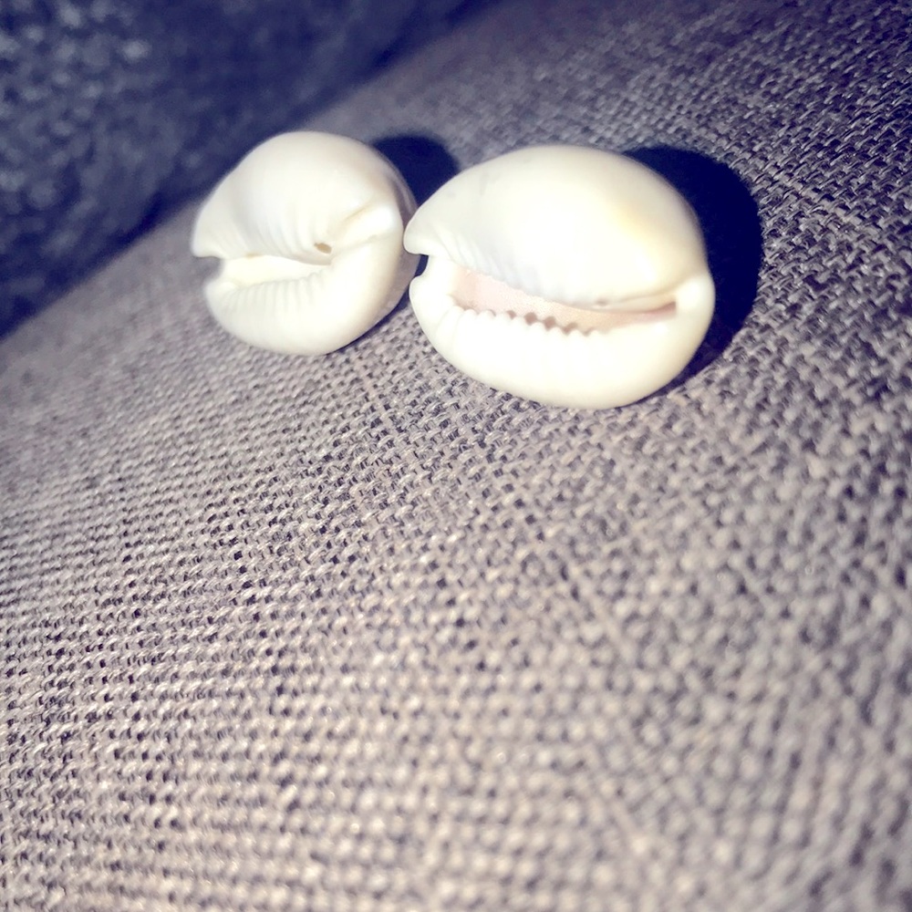 Cool shells